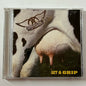 Get a Grip by Aerosmith (CD, 1993)